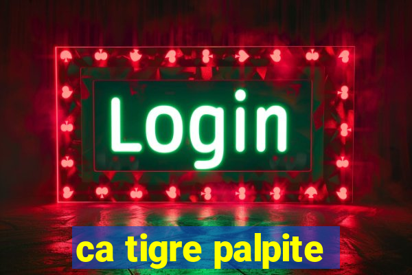 ca tigre palpite